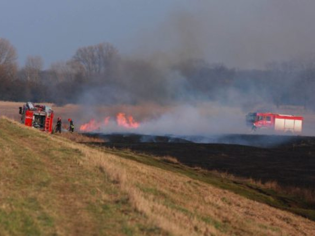 Lali wodę na potęgę, a głupi żartownisie zadowoleni...?