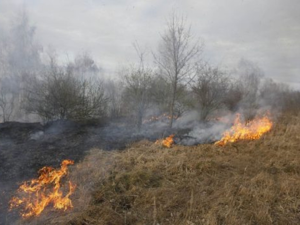 Lali wodę na potęgę, a głupi żartownisie zadowoleni...?