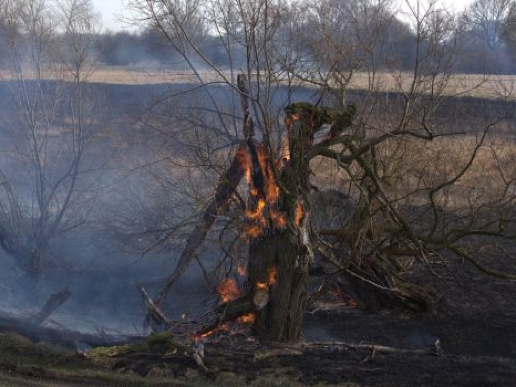 Lali wodę na potęgę, a głupi żartownisie zadowoleni...?
