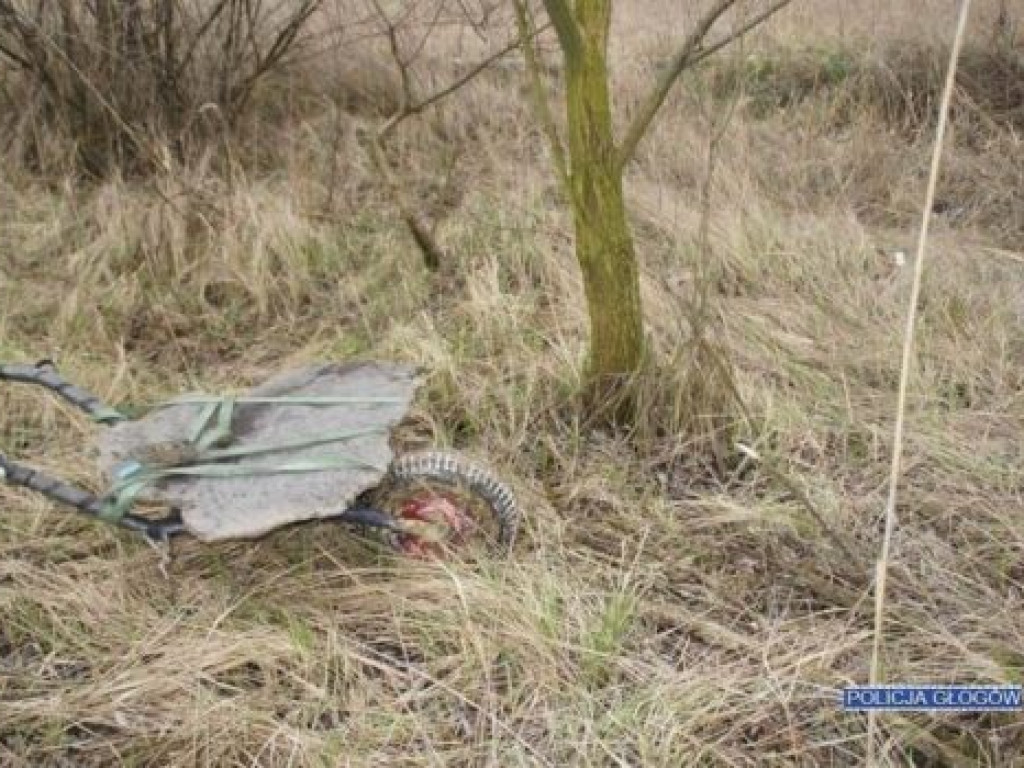 Niby tu chodziło o ryby, a telefon wskazał sprawców kradzieży złomu z huty