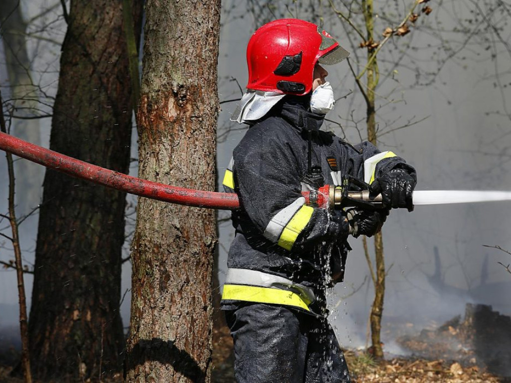W Jerzmanowej w ogniu stanęły dwa hektary lasów! Pożar gasiło 10 zastępów strażaków?