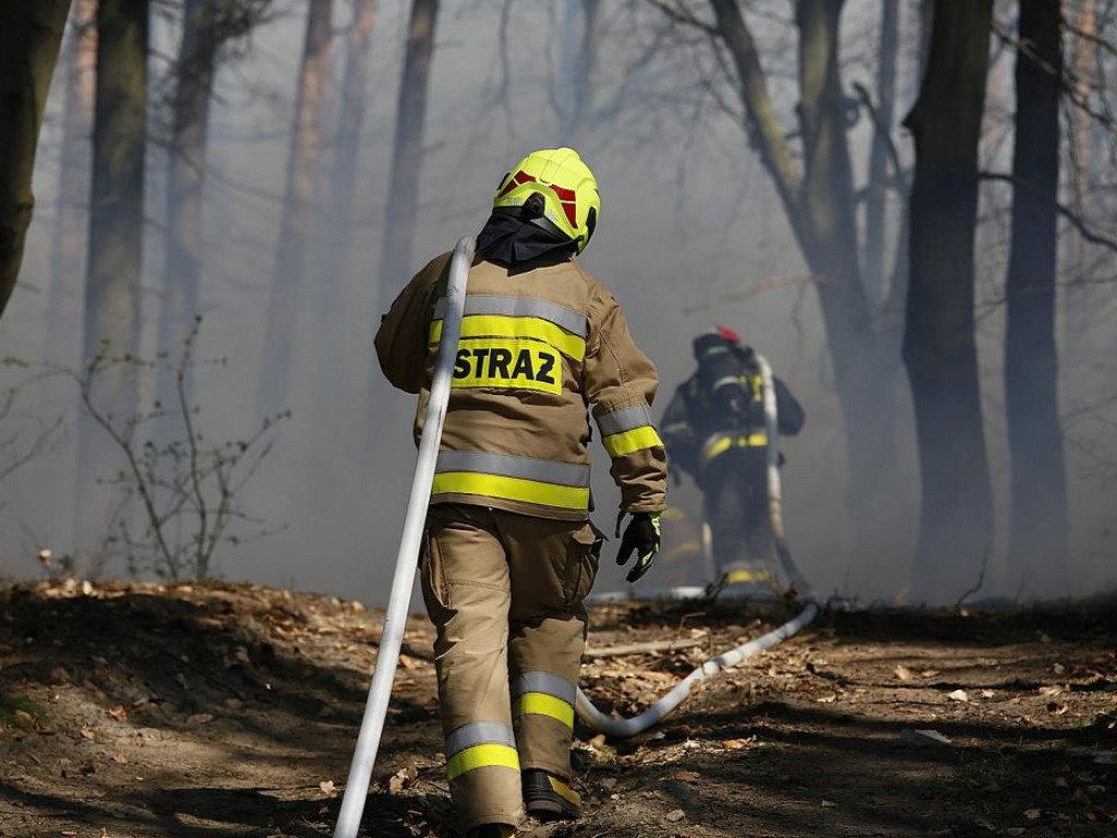 W Jerzmanowej w ogniu stanęły dwa hektary lasów! Pożar gasiło 10 zastępów strażaków?