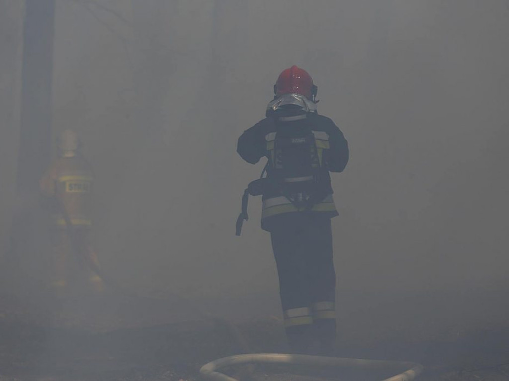 W Jerzmanowej w ogniu stanęły dwa hektary lasów! Pożar gasiło 10 zastępów strażaków?