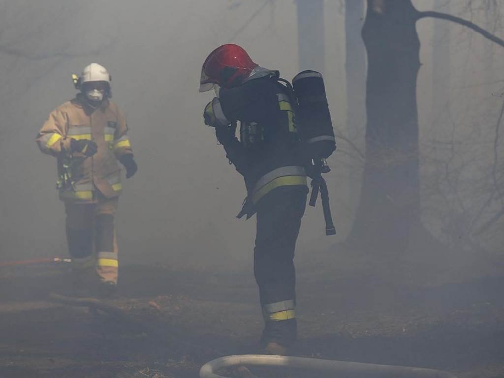 W Jerzmanowej w ogniu stanęły dwa hektary lasów! Pożar gasiło 10 zastępów strażaków?
