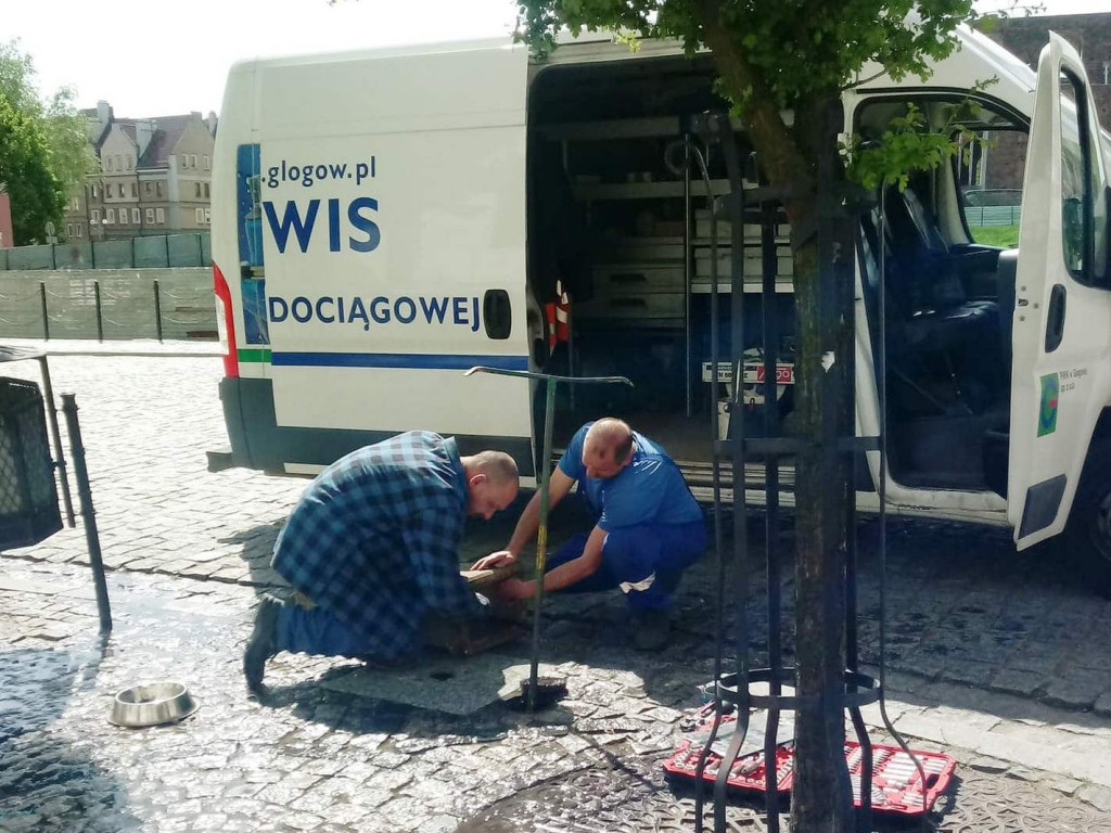 Odrobina wody na upalne dni. Źródełko stanie na rynku