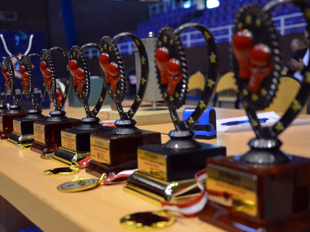 Razem dla Michałka - olbrzymie wsparcie od głogowian dla synka policjantki