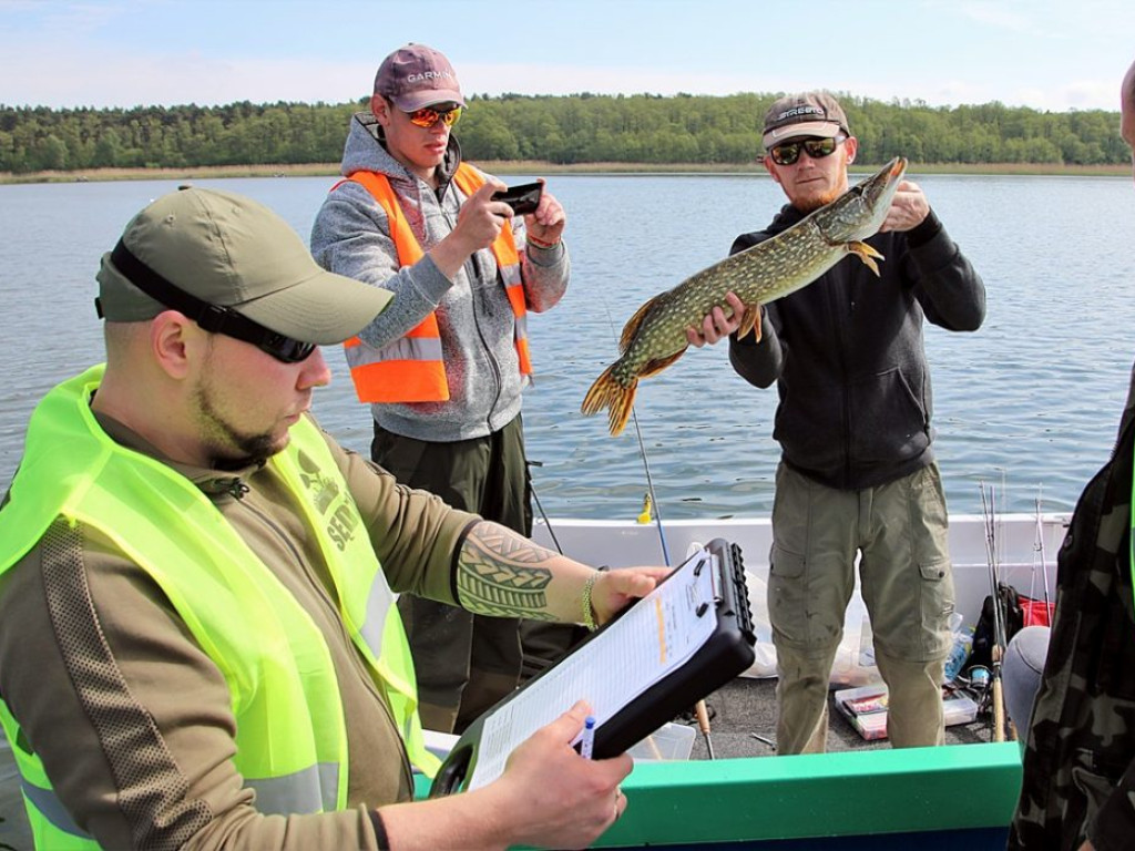 Rekordowe połowy szczupaków i okoni na jeziorze sławskim