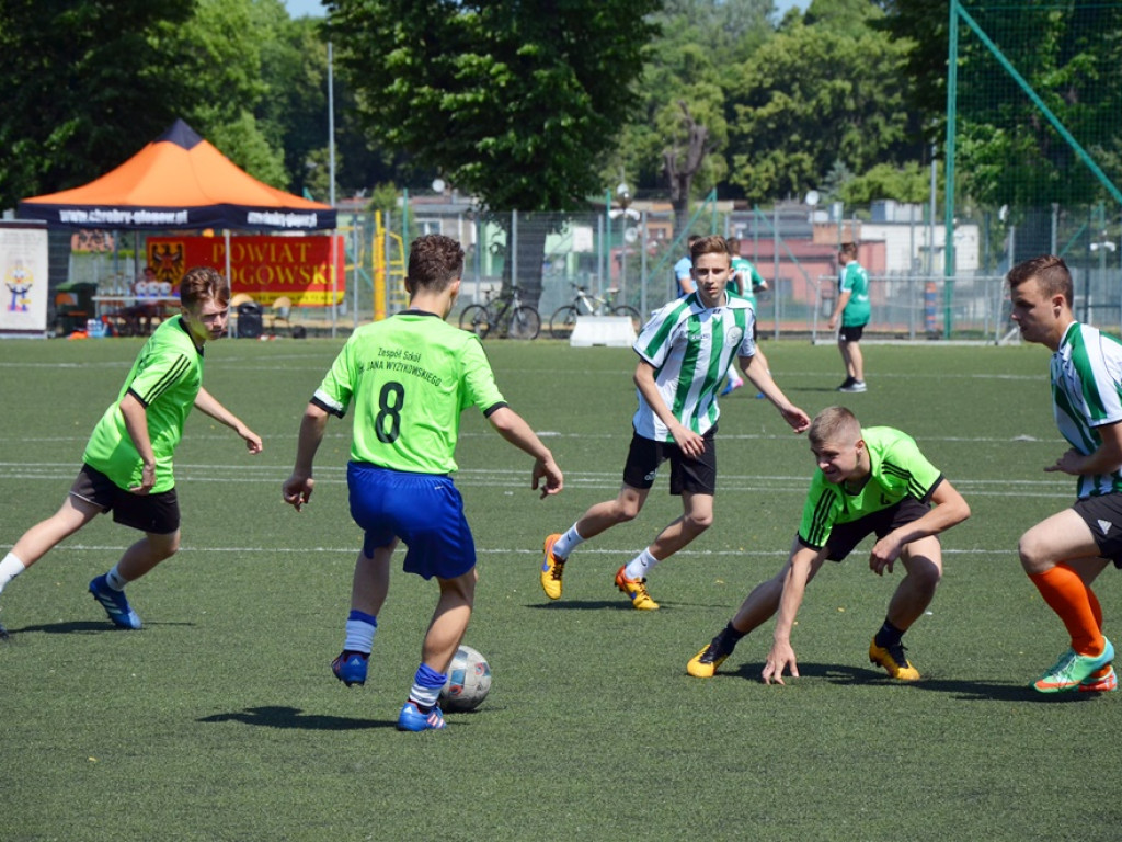 Uczniowie I Liceum Ogólnokształcącego w Głogowie wygrali kolejną edycję Euro Cup