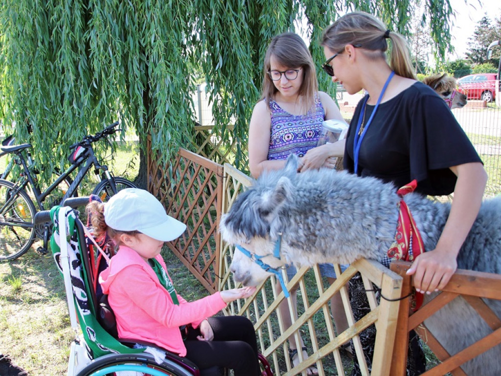 Dąb Przybyszów wygrał bez większych problemów i kwestował dla Amelki