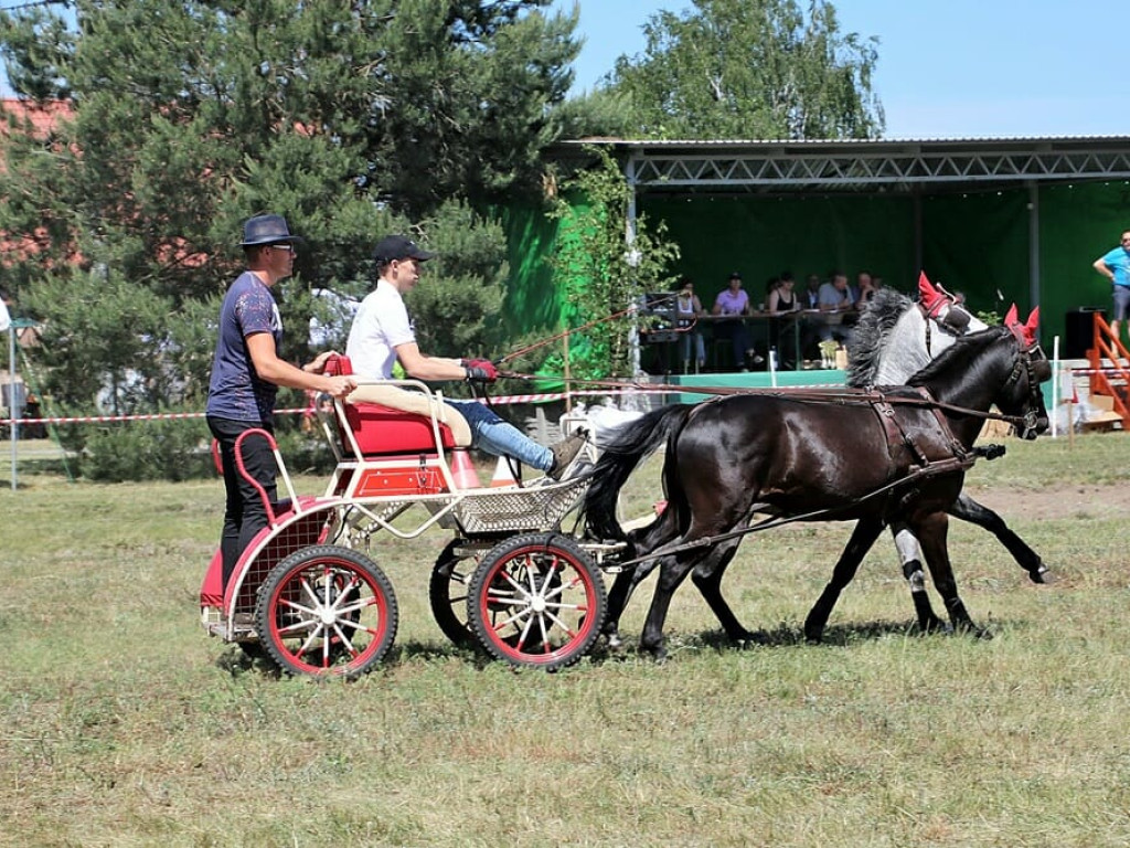 Zawody w zaprzęgach konnych do Śmieszkowa przyciągnęły nawet mistrzów świata