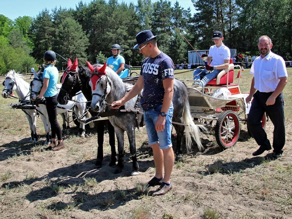Zawody w zaprzęgach konnych do Śmieszkowa przyciągnęły nawet mistrzów świata