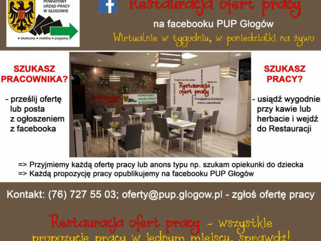 Powiatowy Urząd Pracy w Głogowie numerem 1 ofert pracy!
