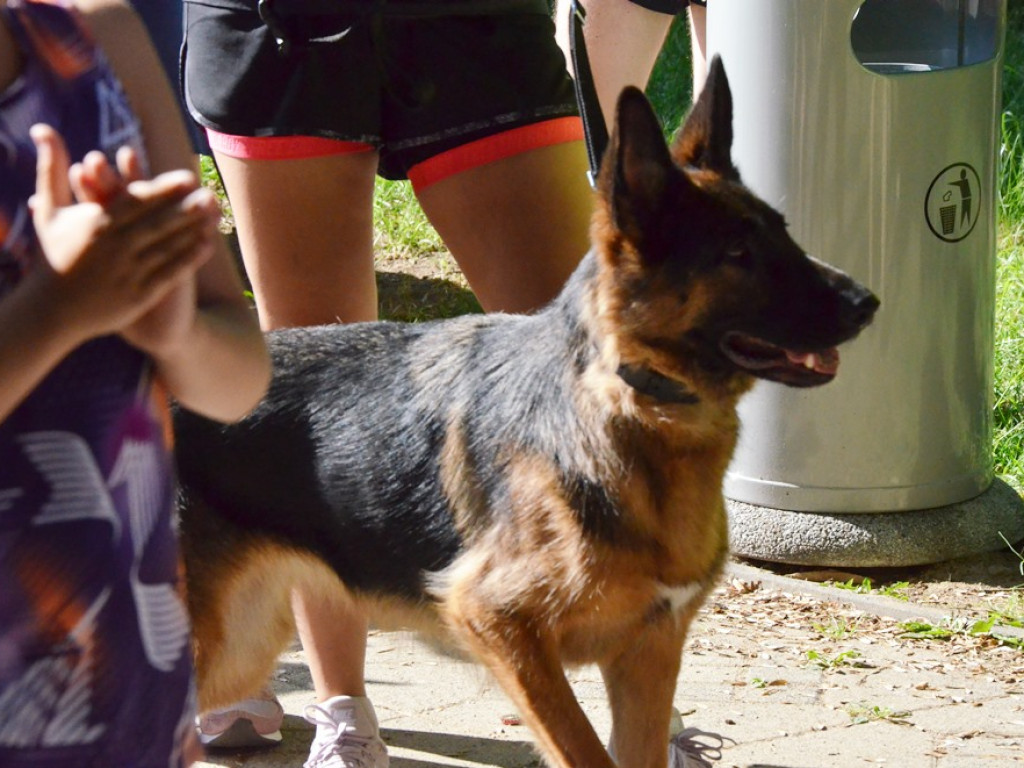 Ojcowie pobiegli z dziećmi w Parku nad Strumykiem. To była dobra zabawa