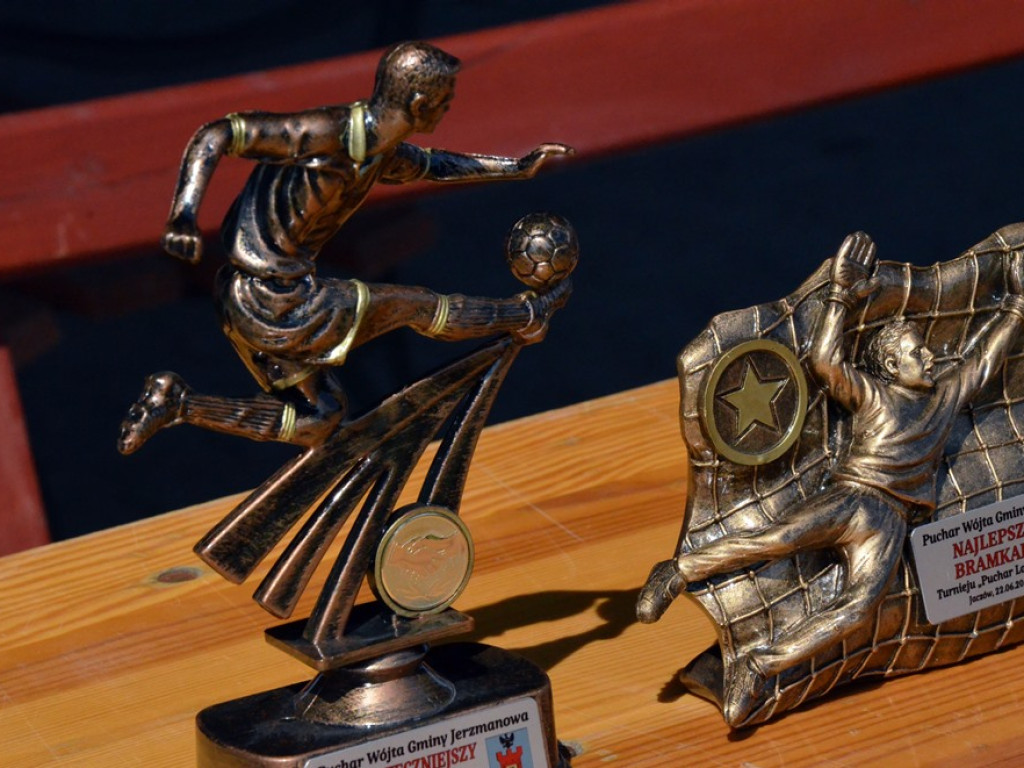 Udany turniej i dobra zabawa na boisku. Przyznano też złote oraz srebrne odznaki dla zasłużonych