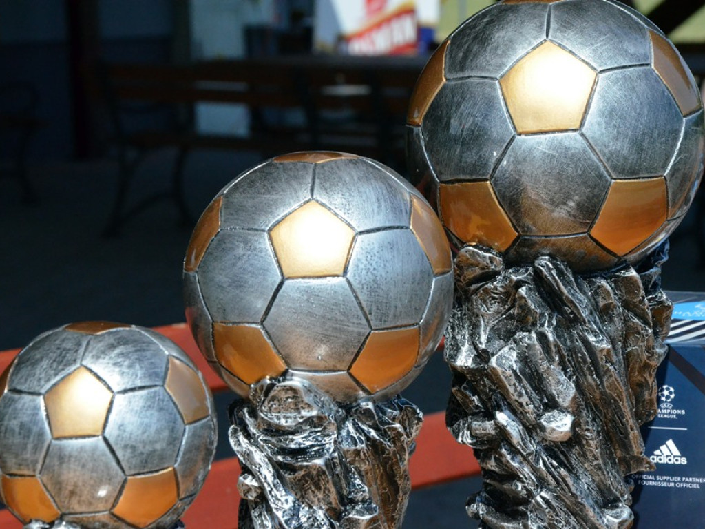 Udany turniej i dobra zabawa na boisku. Przyznano też złote oraz srebrne odznaki dla zasłużonych