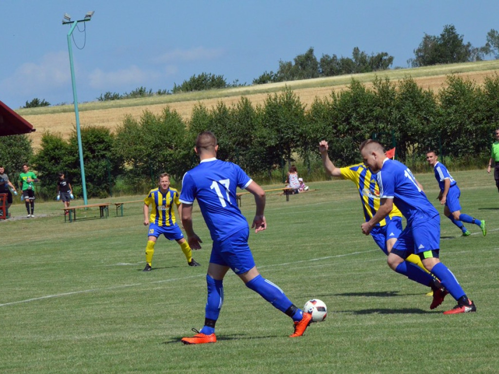 Udany turniej i dobra zabawa na boisku. Przyznano też złote oraz srebrne odznaki dla zasłużonych