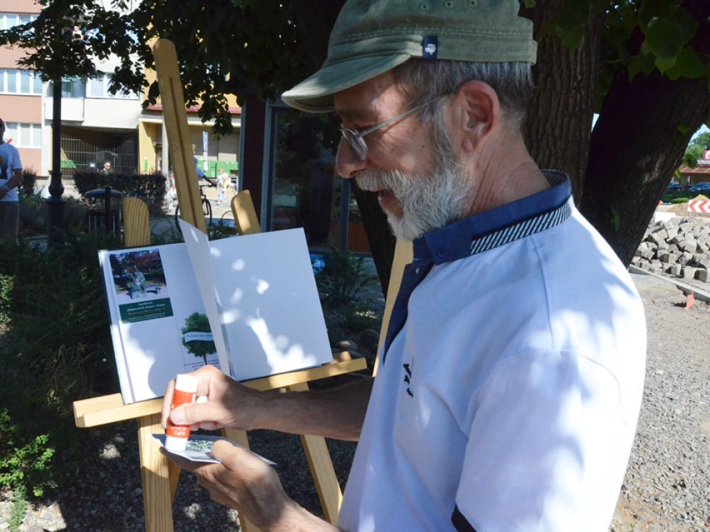 Huczne imieniny Jana z Głogowa. Dąb zasadzony, kwiaty pod pomnikiem złożone