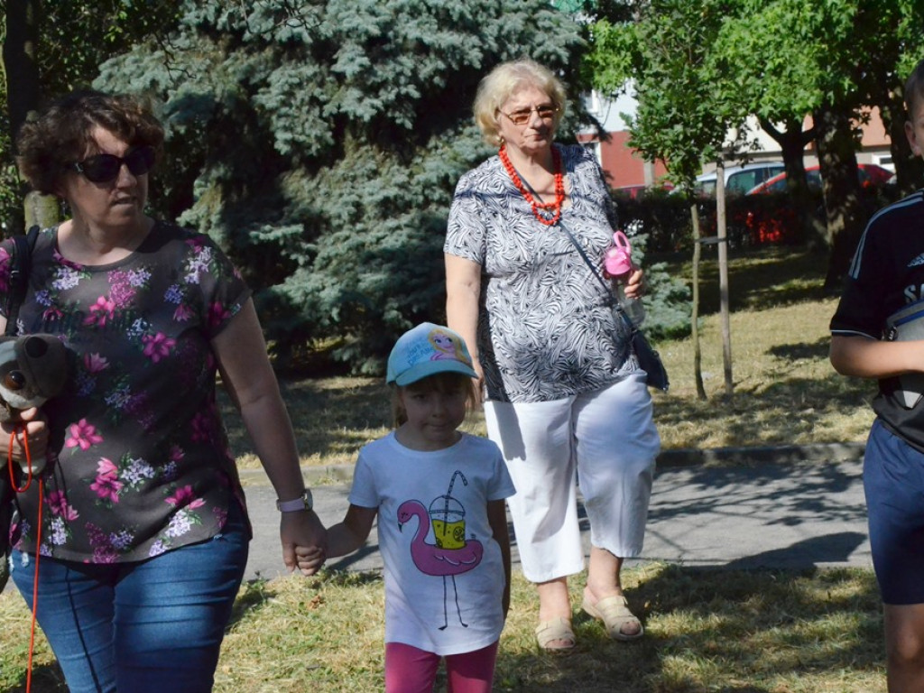 Huczne imieniny Jana z Głogowa. Dąb zasadzony, kwiaty pod pomnikiem złożone