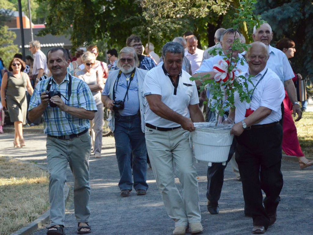 Huczne imieniny Jana z Głogowa. Dąb zasadzony, kwiaty pod pomnikiem złożone