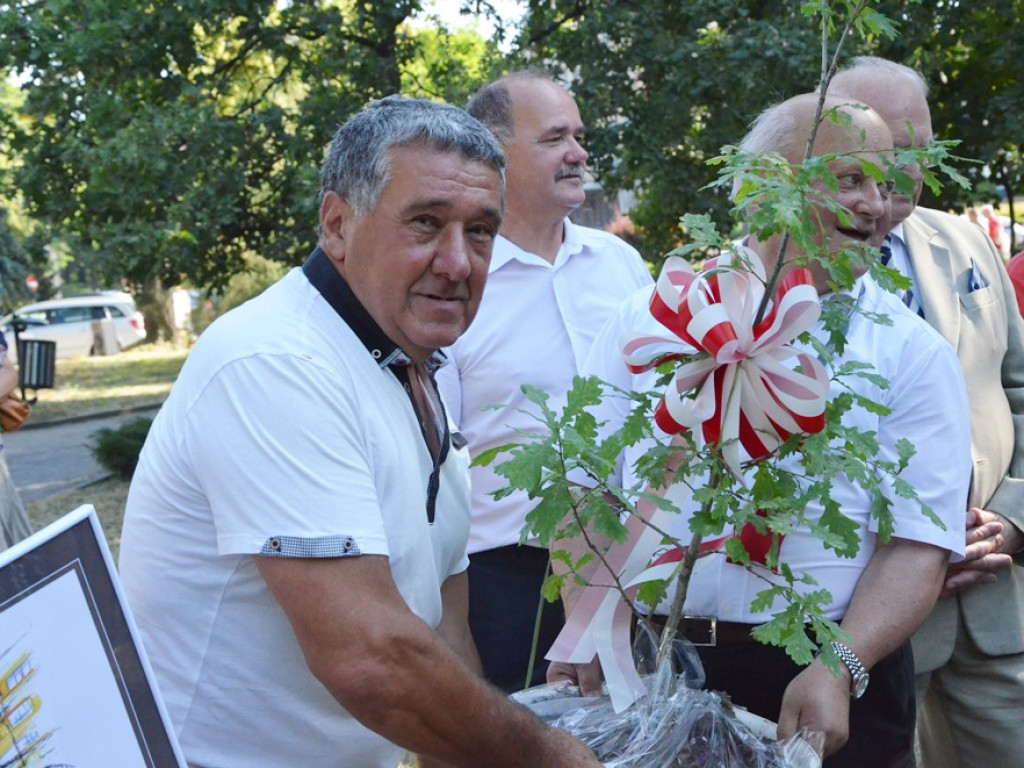 Huczne imieniny Jana z Głogowa. Dąb zasadzony, kwiaty pod pomnikiem złożone