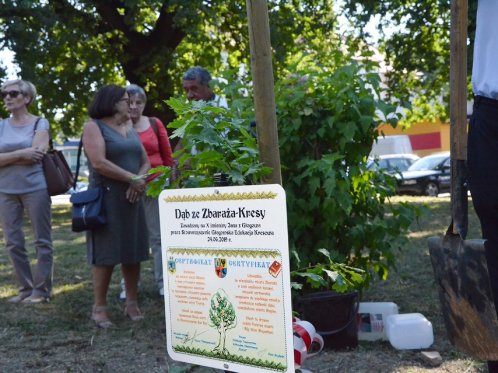Huczne imieniny Jana z Głogowa. Dąb zasadzony, kwiaty pod pomnikiem złożone