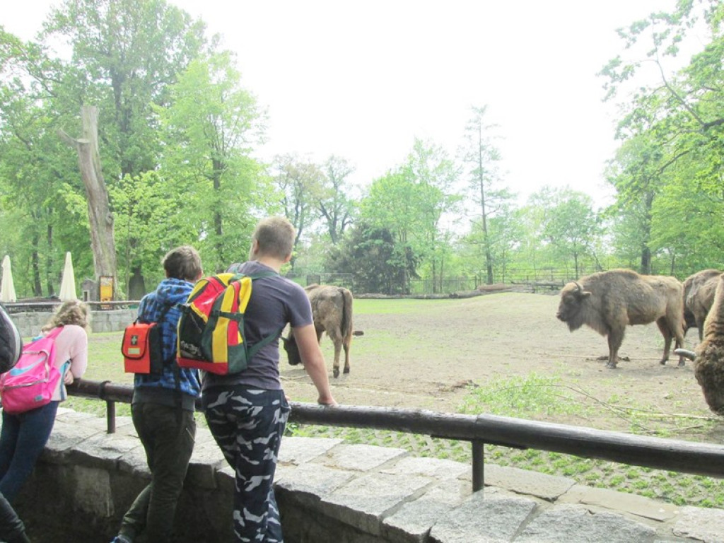 Magia nauki w gminie Kotla. Projekt współfinansowany ze środków unijnych