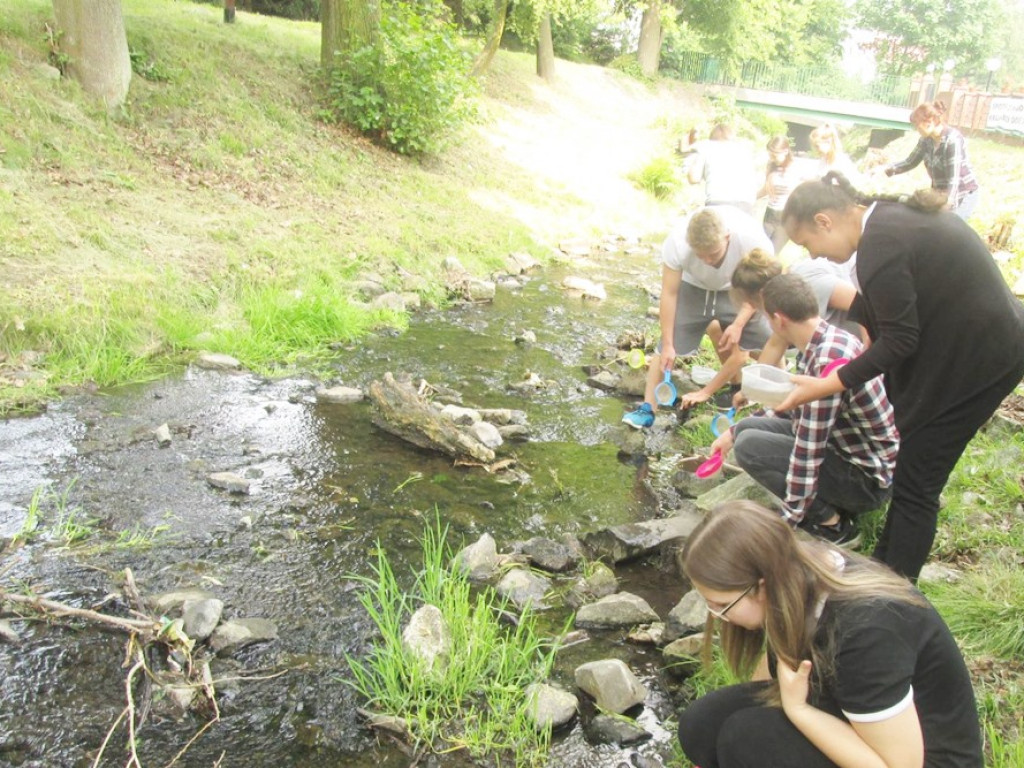 Magia nauki w gminie Kotla. Projekt współfinansowany ze środków unijnych