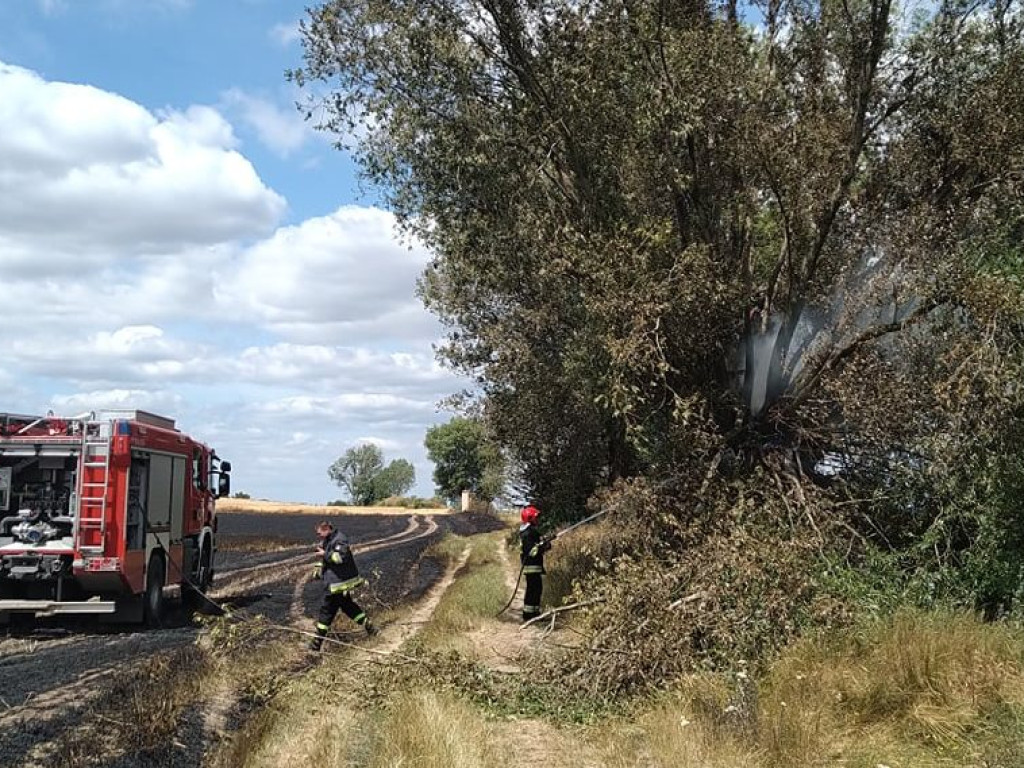 Ogromny pożar! Koło Szczyglic płonie zboże i trawy. Dym widać w Głogowie