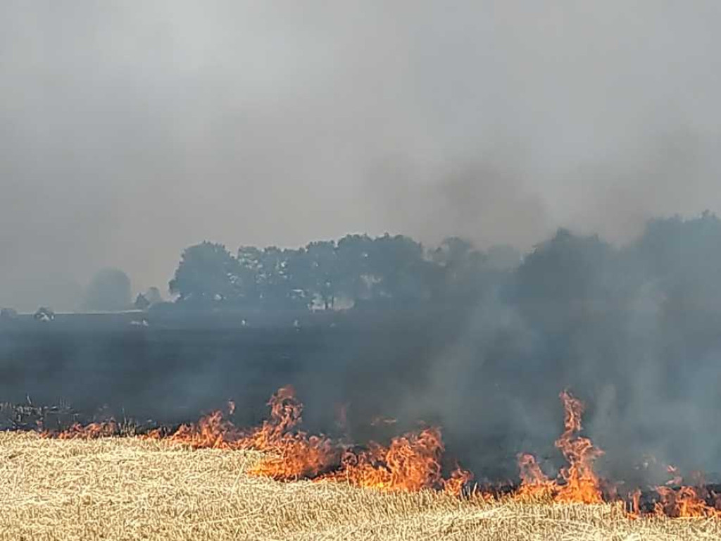 Z żywiołem walczyło 60 strażaków, pomagali rolnicy, ale mimo to ogień i tak strawił około 30 hektarów pola oraz las