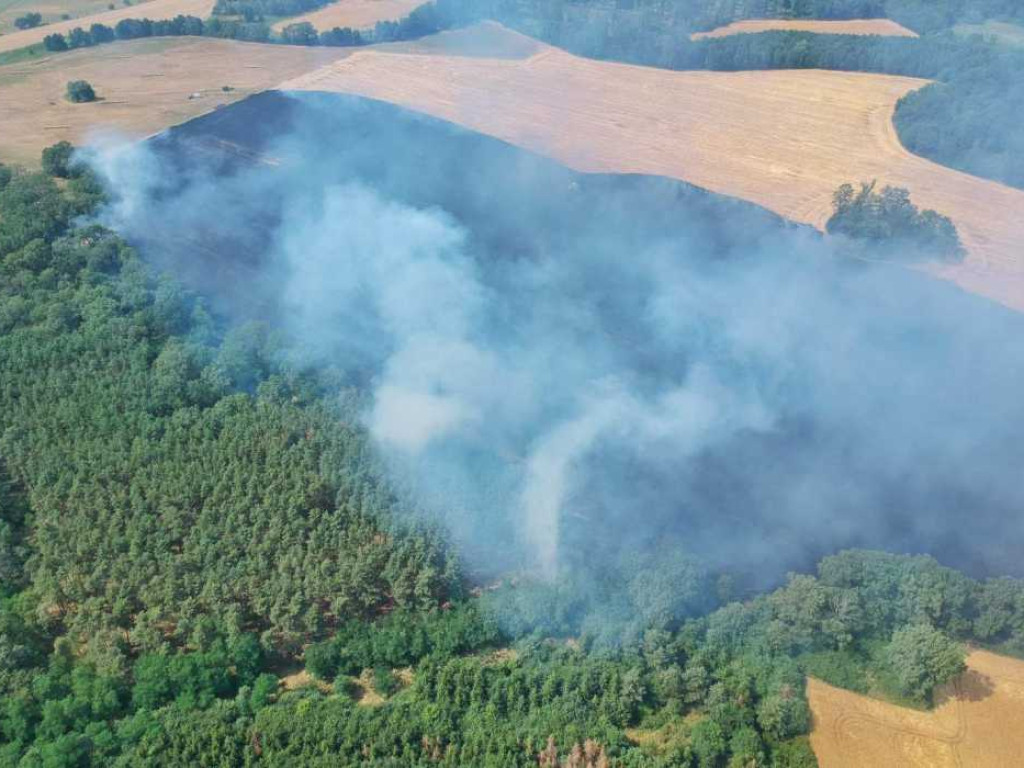 Z żywiołem walczyło 60 strażaków, pomagali rolnicy, ale mimo to ogień i tak strawił około 30 hektarów pola oraz las