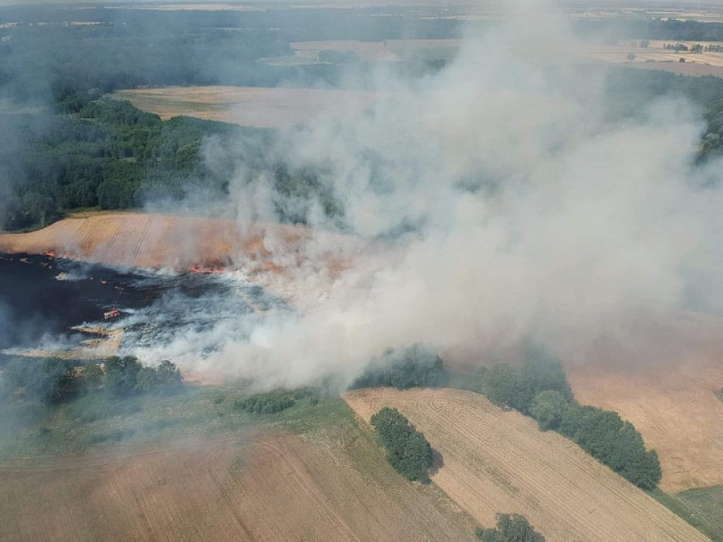 Z żywiołem walczyło 60 strażaków, pomagali rolnicy, ale mimo to ogień i tak strawił około 30 hektarów pola oraz las