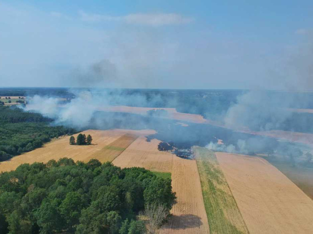 Z żywiołem walczyło 60 strażaków, pomagali rolnicy, ale mimo to ogień i tak strawił około 30 hektarów pola oraz las