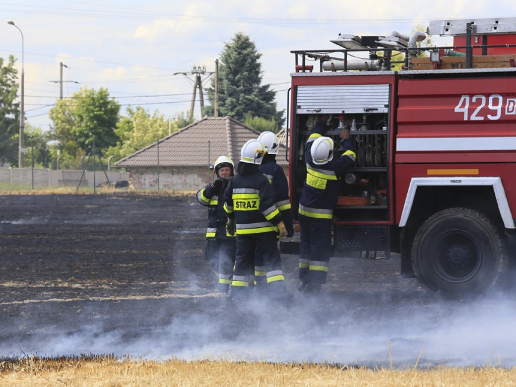 Kłęby dymu nad Kopernikiem. Pali się pole przy sklepie meblowym