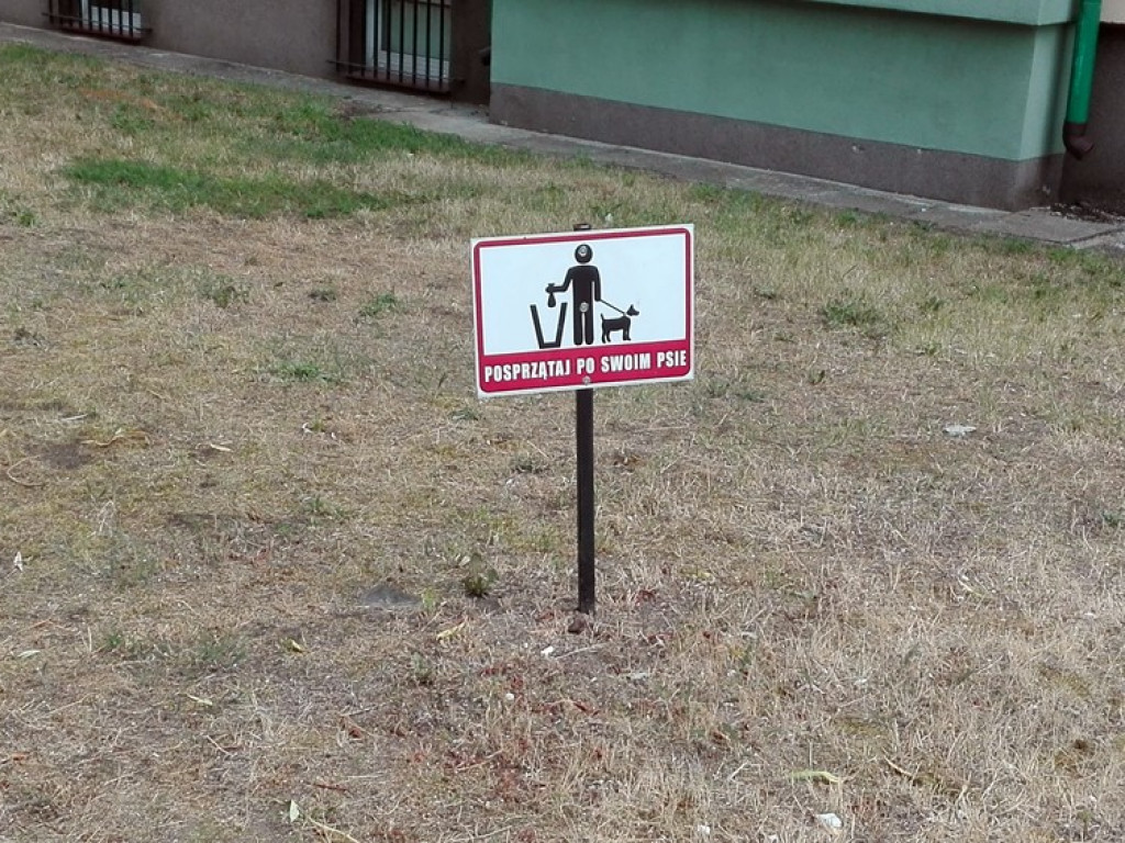 Brakuje worków w koszach na psie odchody na osiedlu Kopernik