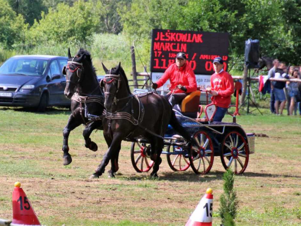 Zawody w powożeniu końmi odbyły się w deszczu, ale i tak przyciągnęły kibiców