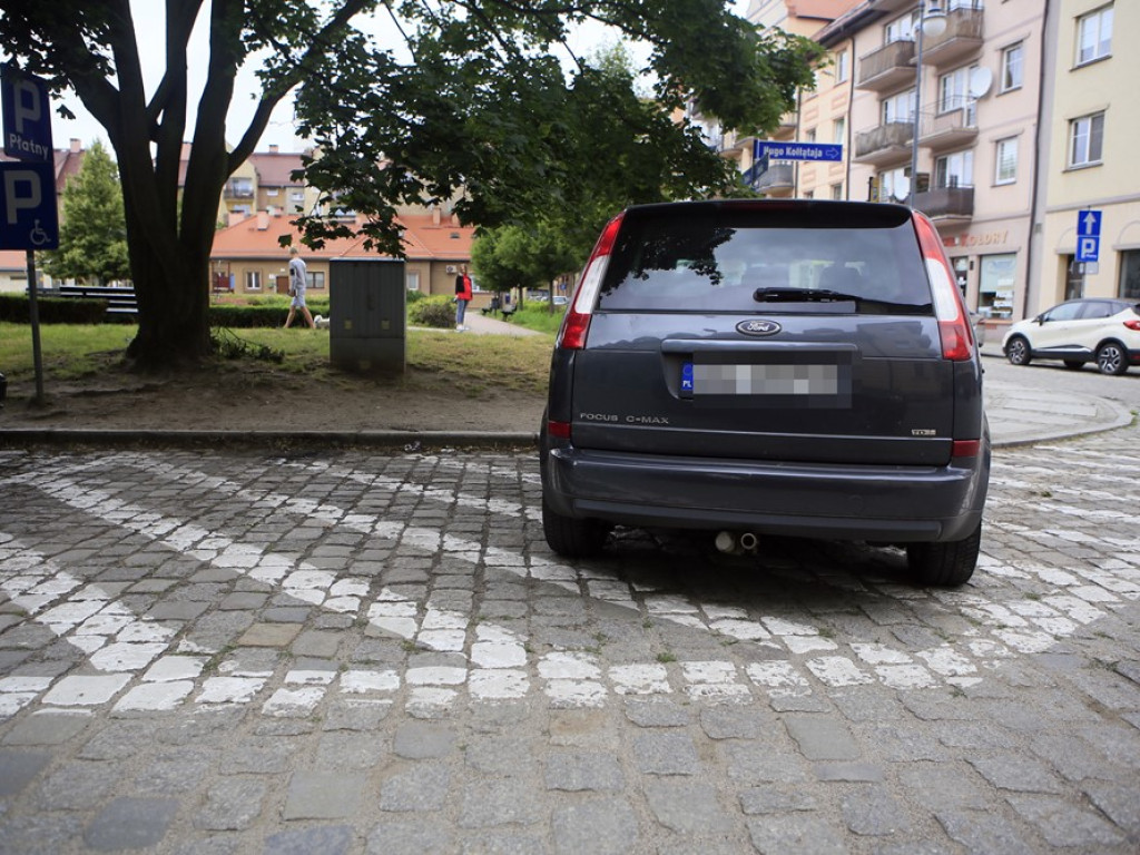 Na zakazach, trawnikach, przejściach dla pieszych... Poznajcie kilku głogowskich 