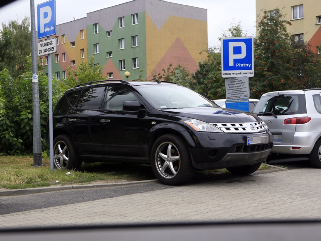 Na zakazach, trawnikach, przejściach dla pieszych... Poznajcie kilku głogowskich 