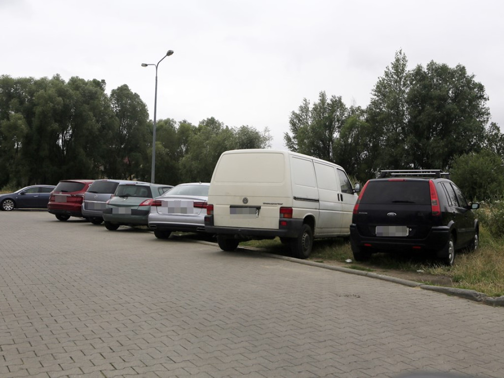 Na zakazach, trawnikach, przejściach dla pieszych... Poznajcie kilku głogowskich 