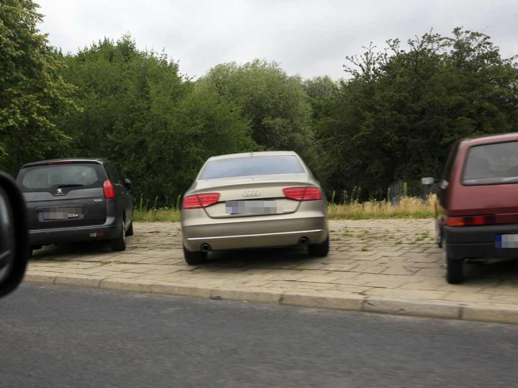Na zakazach, trawnikach, przejściach dla pieszych... Poznajcie kilku głogowskich 