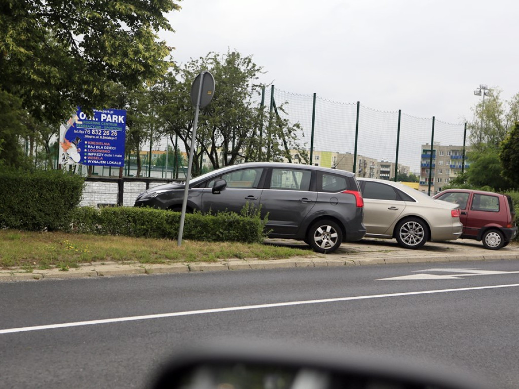 Na zakazach, trawnikach, przejściach dla pieszych... Poznajcie kilku głogowskich 