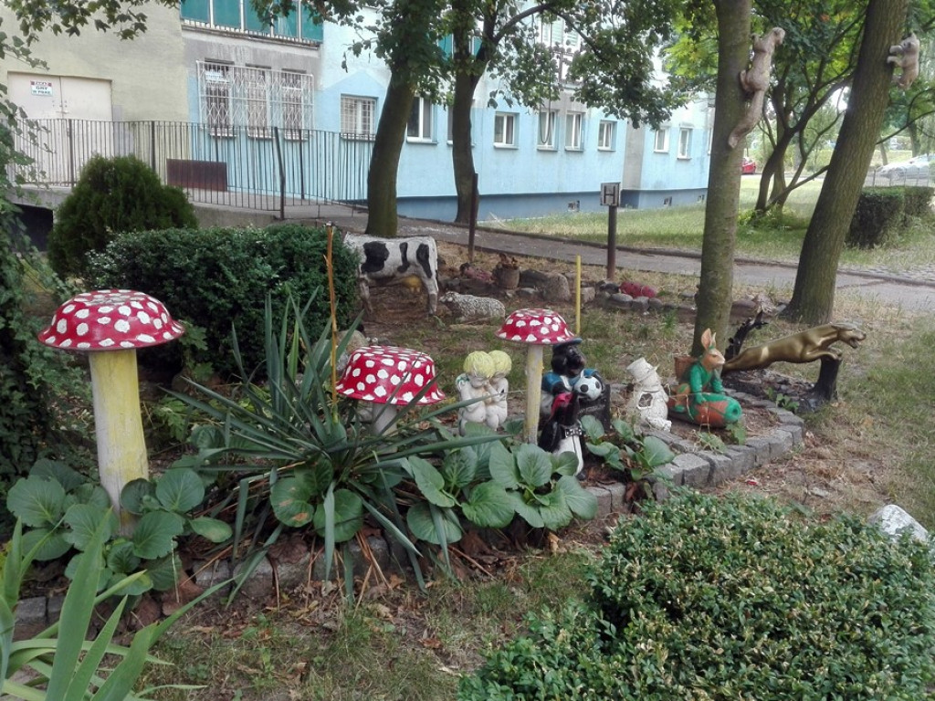Stworzył tajemniczy ogród między blokami. Piękny. Ale teraz potrzebuje pomocy
