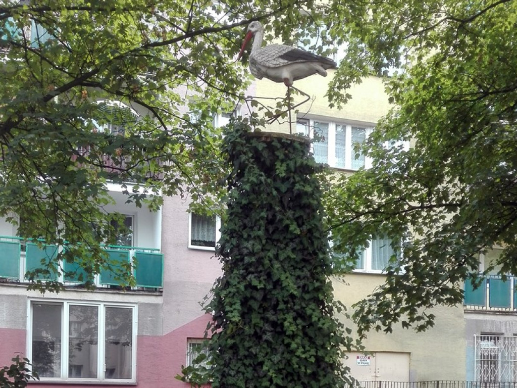 Stworzył tajemniczy ogród między blokami. Piękny. Ale teraz potrzebuje pomocy
