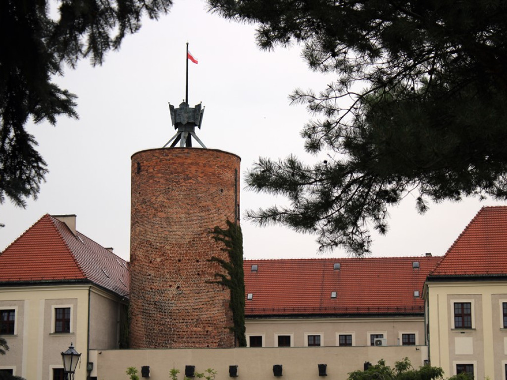 To ostatnie dni głosowania! Głogów może znaleźć się w programie 