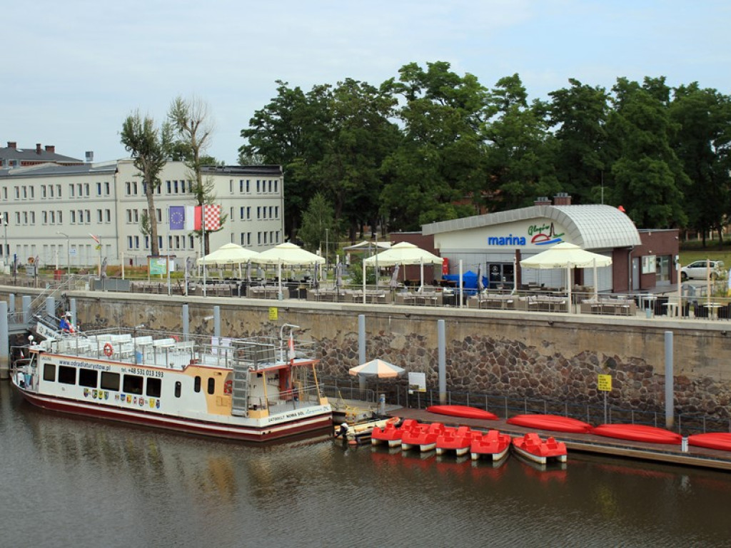 To ostatnie dni głosowania! Głogów może znaleźć się w programie 
