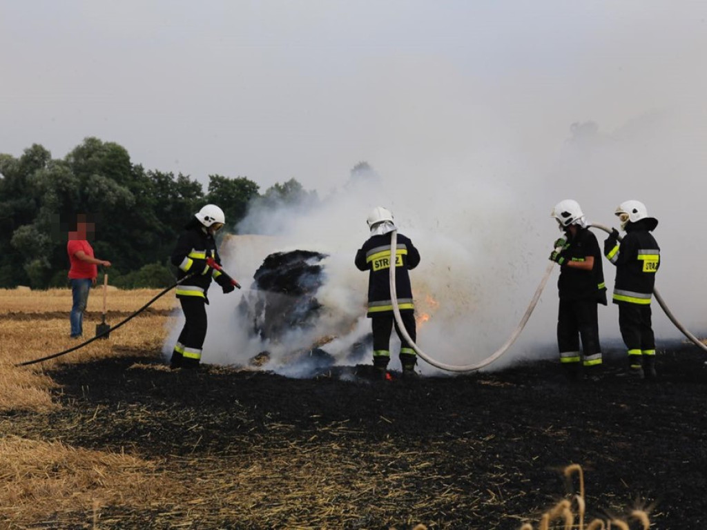 Strażacy walczą z żywiołem w morderczych warunkach! Płonie kilka hektarów ścierniska. ZOBACZ ZDJĘCIA