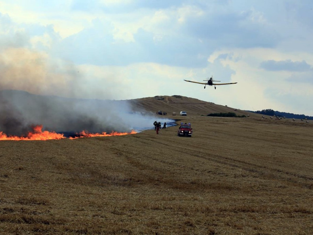 Strażacy walczą z żywiołem w morderczych warunkach! Płonie kilka hektarów ścierniska. ZOBACZ ZDJĘCIA