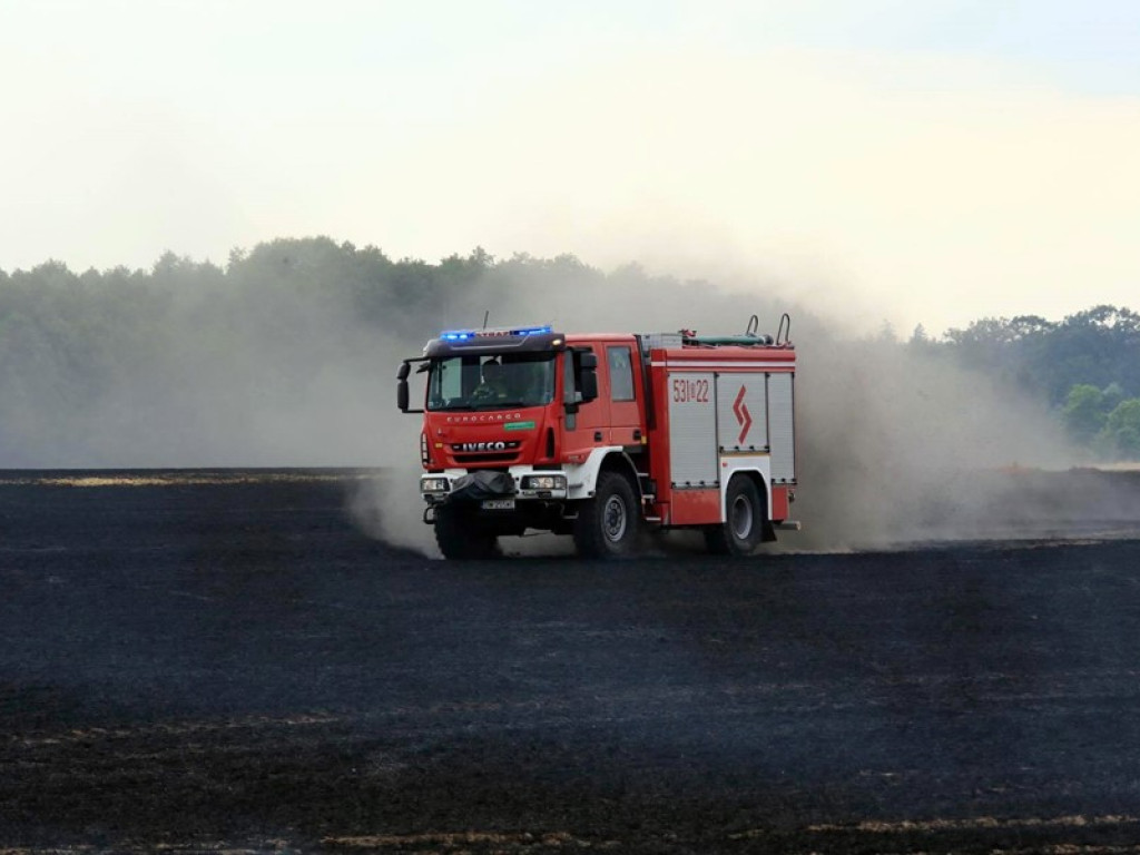 Strażacy walczą z żywiołem w morderczych warunkach! Płonie kilka hektarów ścierniska. ZOBACZ ZDJĘCIA