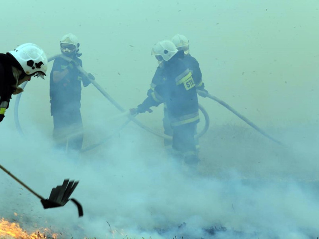 Strażacy walczą z żywiołem w morderczych warunkach! Płonie kilka hektarów ścierniska. ZOBACZ ZDJĘCIA