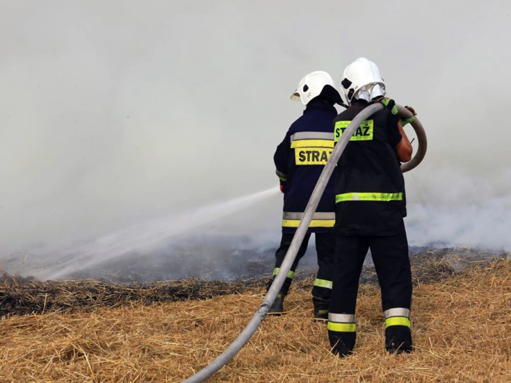 Strażacy walczą z żywiołem w morderczych warunkach! Płonie kilka hektarów ścierniska. ZOBACZ ZDJĘCIA