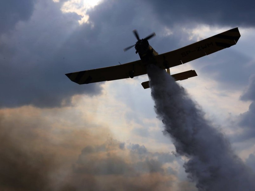 Strażacy walczą z żywiołem w morderczych warunkach! Płonie kilka hektarów ścierniska. ZOBACZ ZDJĘCIA